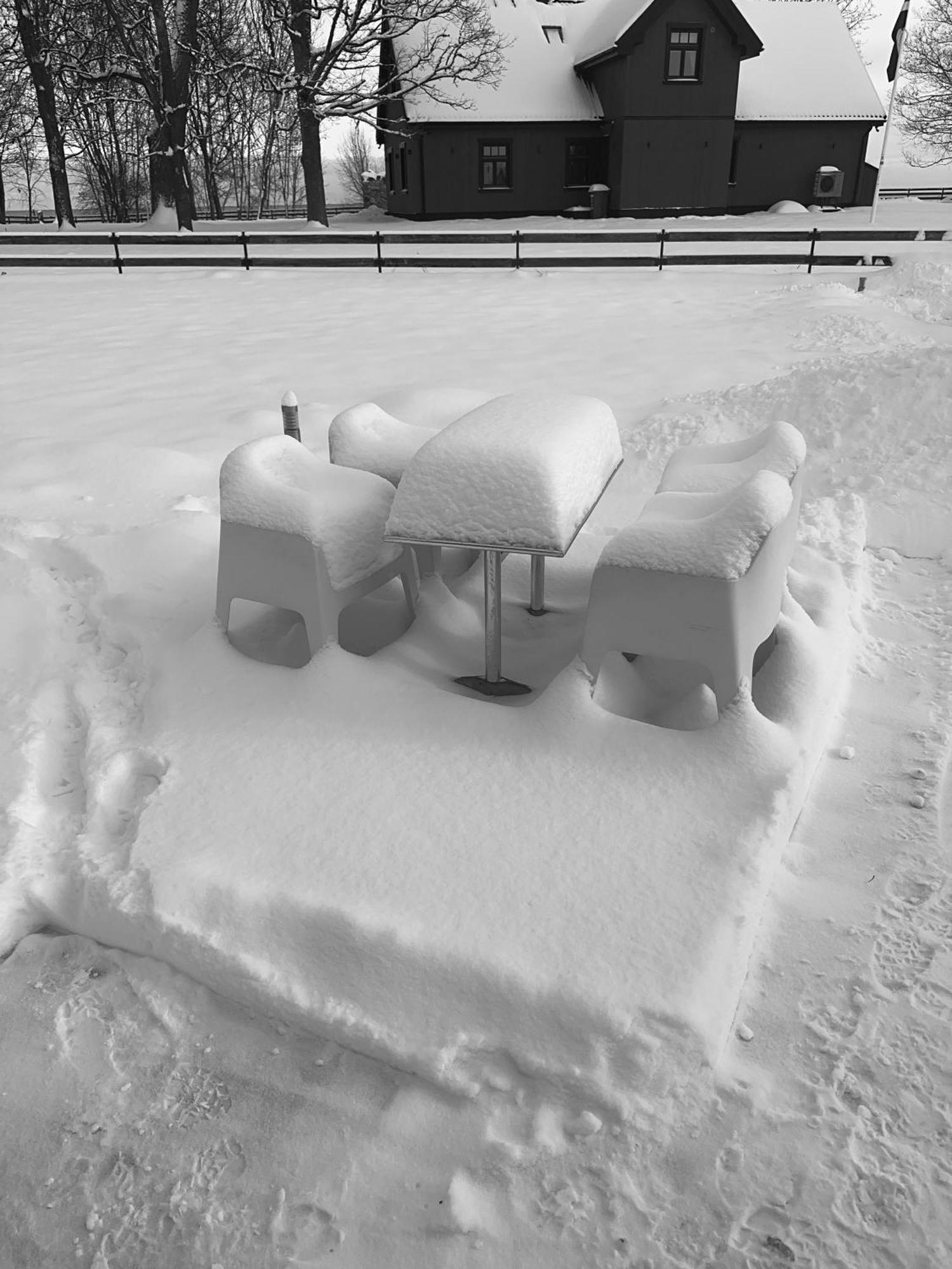 Engure Apartment "Little One" Екстериор снимка